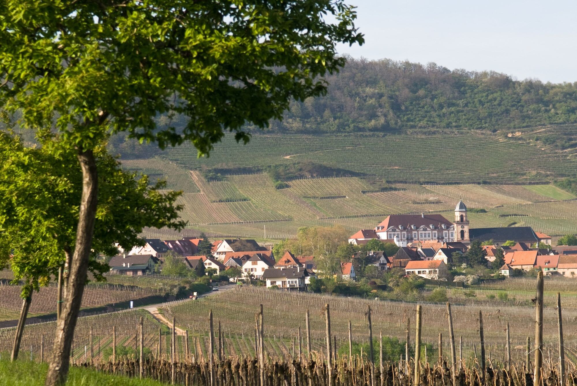 Hotel Val-Vignes Colmar Haut-Koenigsbourg, The Originals Relais Saint-Hippolyte  Exterior foto